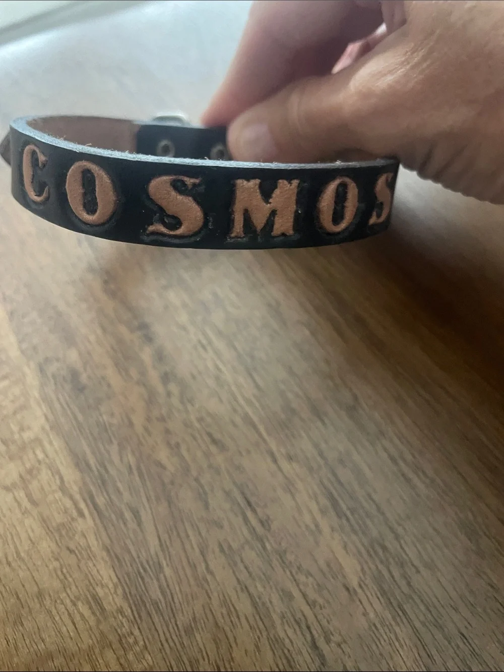Black Leather 'COSMOS' Embossed doggie collar.